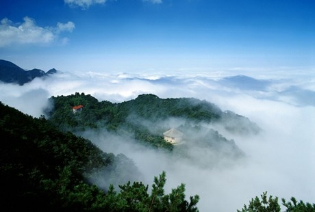 南昌到廬山1日游天天發(fā)團，經(jīng)典純玩，還原純凈旅游，美廬別墅+會(huì )址+花徑+錦繡谷+三寶樹(shù)